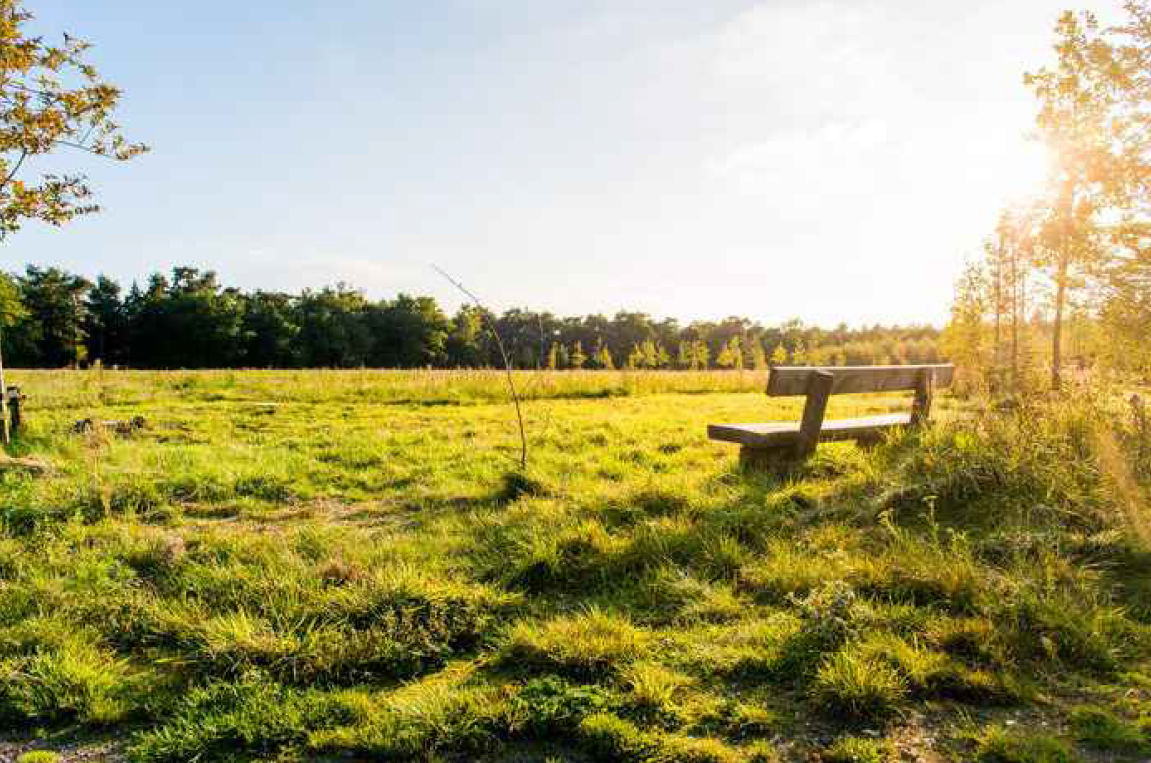 Gemeente Twenterand